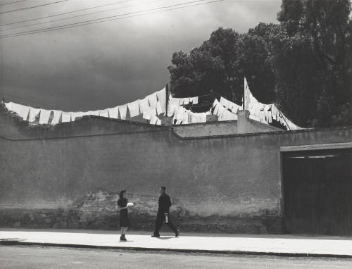 How Small the World Is