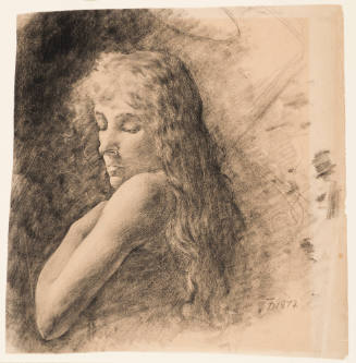 Head of a Woman with Long Hair