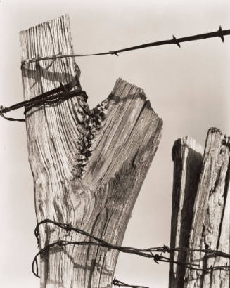 "Y" Shaped Fence Post