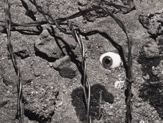 Eye and Barbed Wire