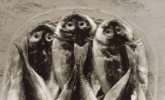 Three Fish, Yugawara, Japan