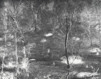 Negative Print, Oldham County, Ky