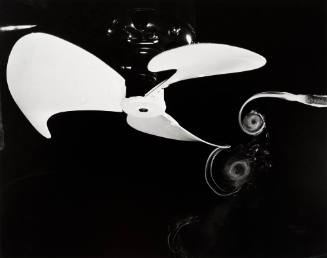 Fan and Smoke Vortices