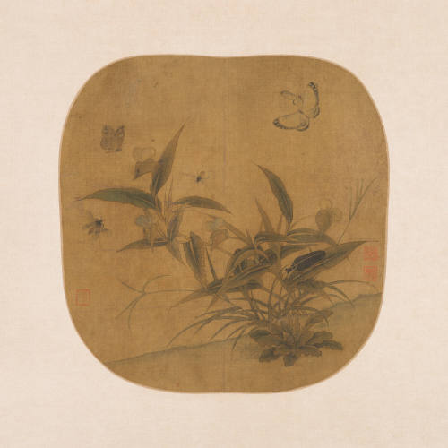 Butterflies, Insects and Autumn Plants