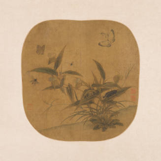 Butterflies, Insects and Autumn Plants