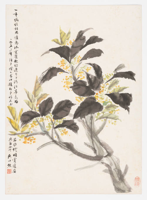 A Branch of Flowers