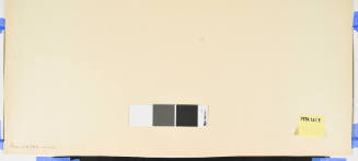 No. 8 Nawate Road at Hiratsuka (Hiratsuka nawatemichi)