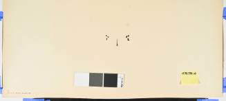 No. 9 Tora's Rain at Oiso (Oiso tora ga ami)