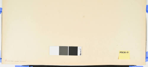 No. 12 Morning Mist at Mishima (Mishima asagiri)