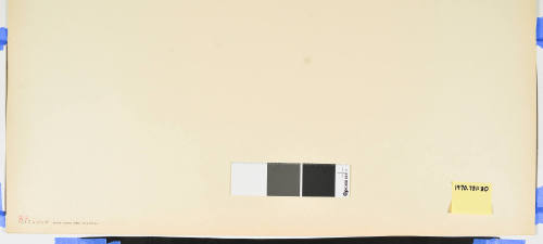 No. 29 Morning Mist on the Tenryu River Near Mitsuke (Mitsuke Tenryugawa no zu)