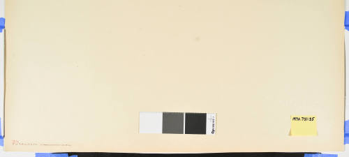 No. 34 the Sarugababa Rest Stop at Futagawa (Futagawa Sarugababa)