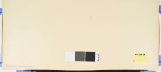 No. 34 the Sarugababa Rest Stop at Futagawa (Futagawa Sarugababa)