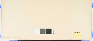 No. 45 the Stone Yakushi Temple at Ishiyakushi (Ishiyakushi Ishiyakushiji)