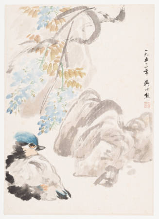 Mandarin Duck and Wisteria