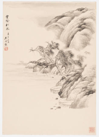 Whispering Pines in a Cloudy Mountain