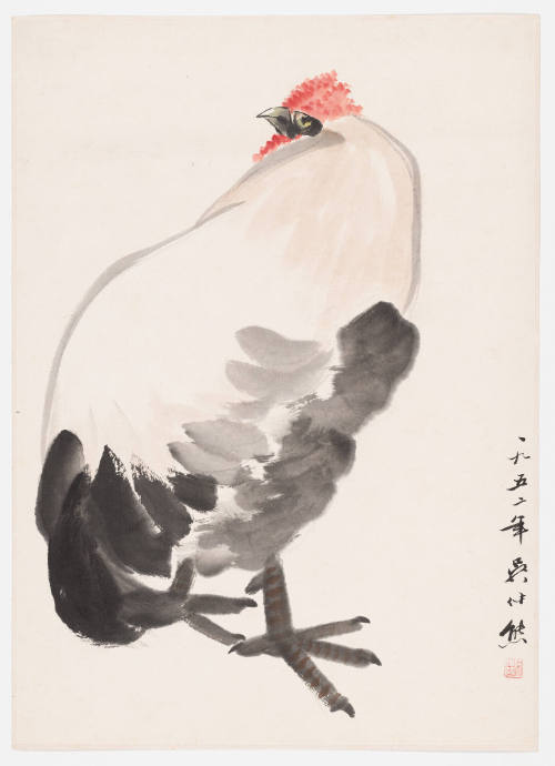 A Rooster