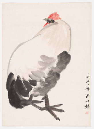 A Rooster