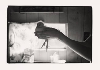 Reva Holds a Chicken, Pomeroy, Ohio