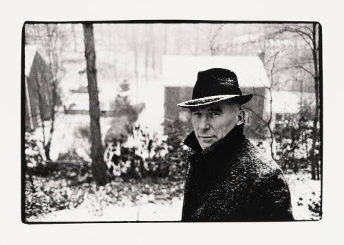 My Father, Winter Backyard, Arlington, Virginia