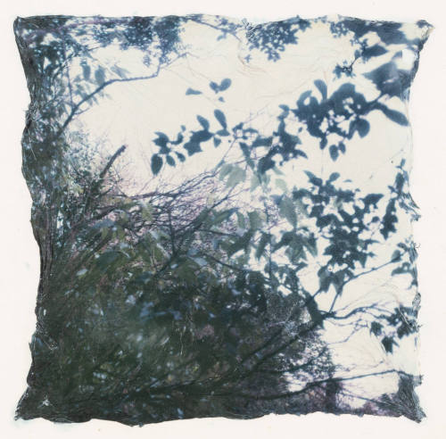 Untitled, Yellow Springs, Ohio, #16