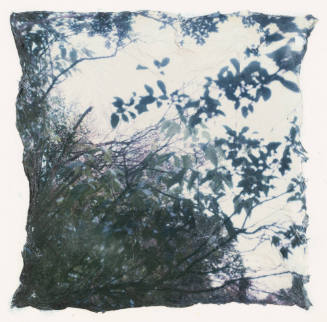 Untitled, Yellow Springs, Ohio, #16