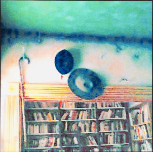 Library Hats from the House Series