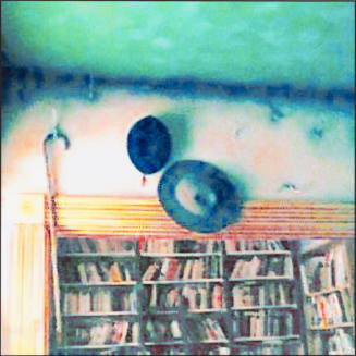 Library Hats from the House Series