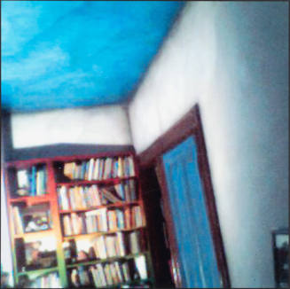 Library Ladder from the House Series