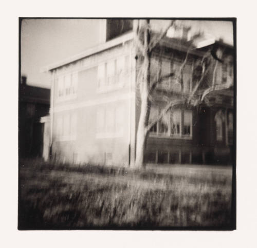 Tree Wrapping School, Hewitt, Minnesota