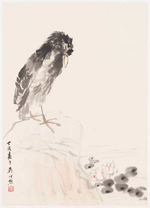 A Black Bird Next to a Lotus Pond