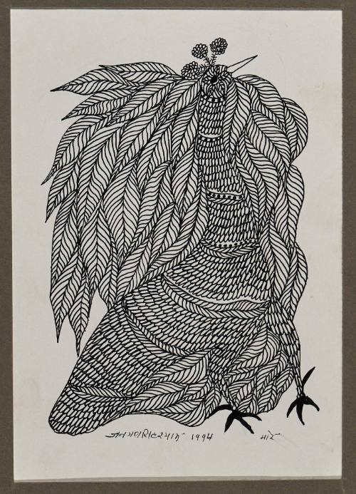 Mor (Peacock)