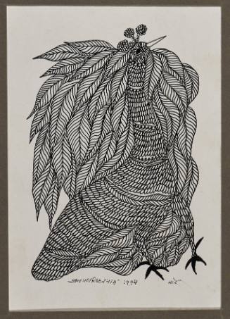 Mor (Peacock)