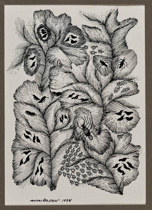 Untitled (Birds, Ants, and other Insects)