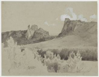 Rocky Landscape - Regenstein