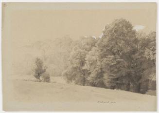 Landscape Study - Forest Edge