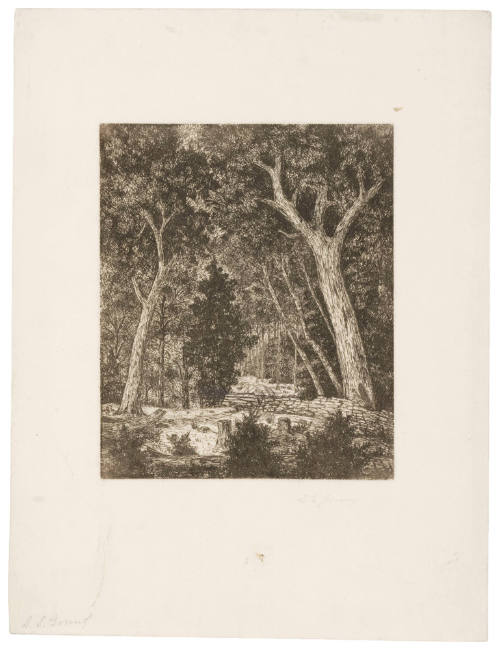Landscape