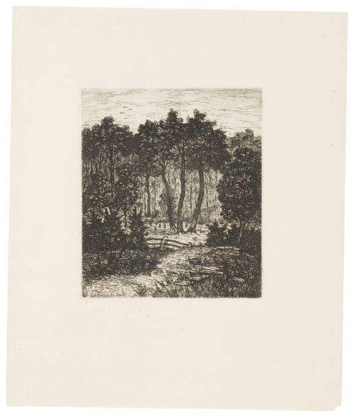 Landscape
