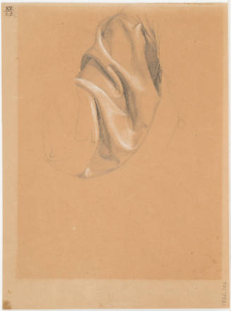 Study of Garment