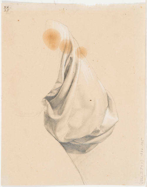 Garment Study