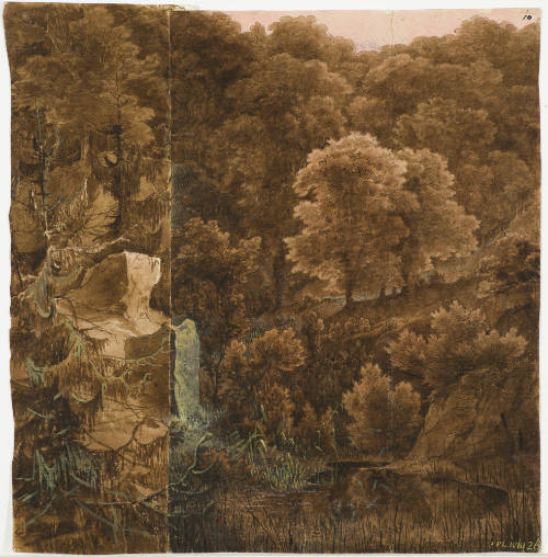 Dark Forest Landscape