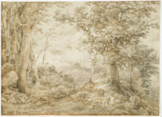 Forest with View of Mountain