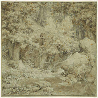 Brook in the Forest with Rocks and Hill