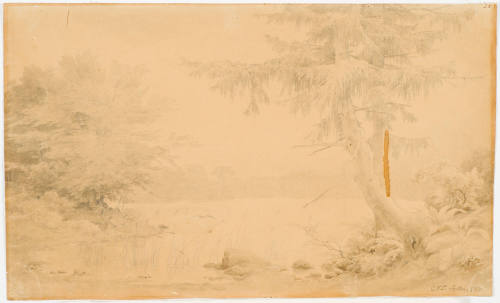 Forest Pond and Larch Tree