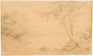 Forest Pond and Larch Tree