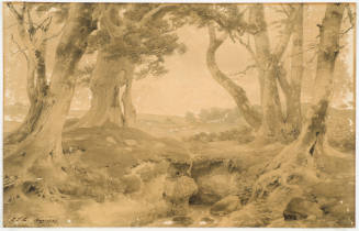 Beach and Oak Trunks and Brook