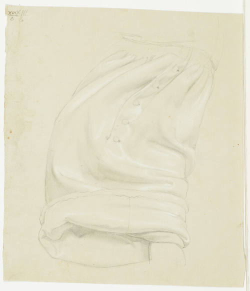 Garment Studies