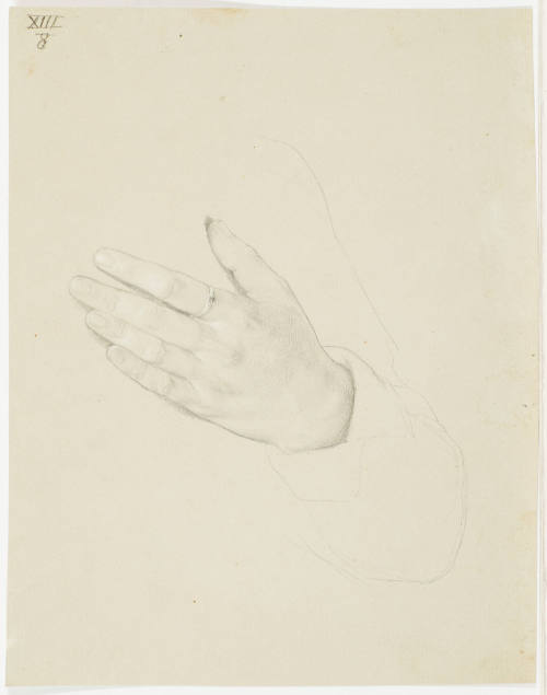 Study of Hand