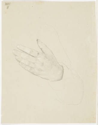 Study of Hand