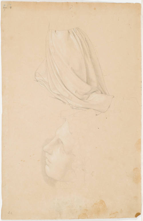 Garment Study