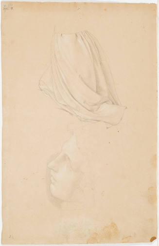 Garment Study